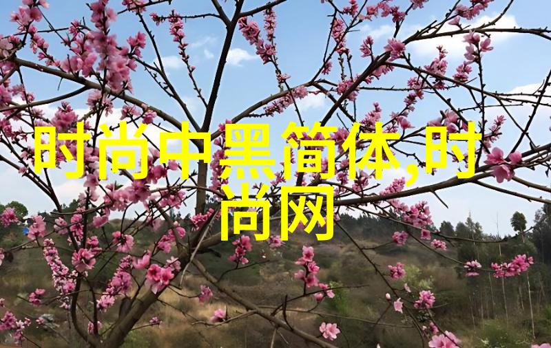 田一的家庭背景真实家境如何他是怎样一夜爆红成为网络红人的