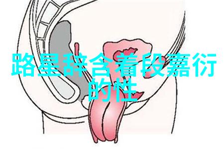 快速迭代还是深度发展综艺快乐重返高峰之路探究