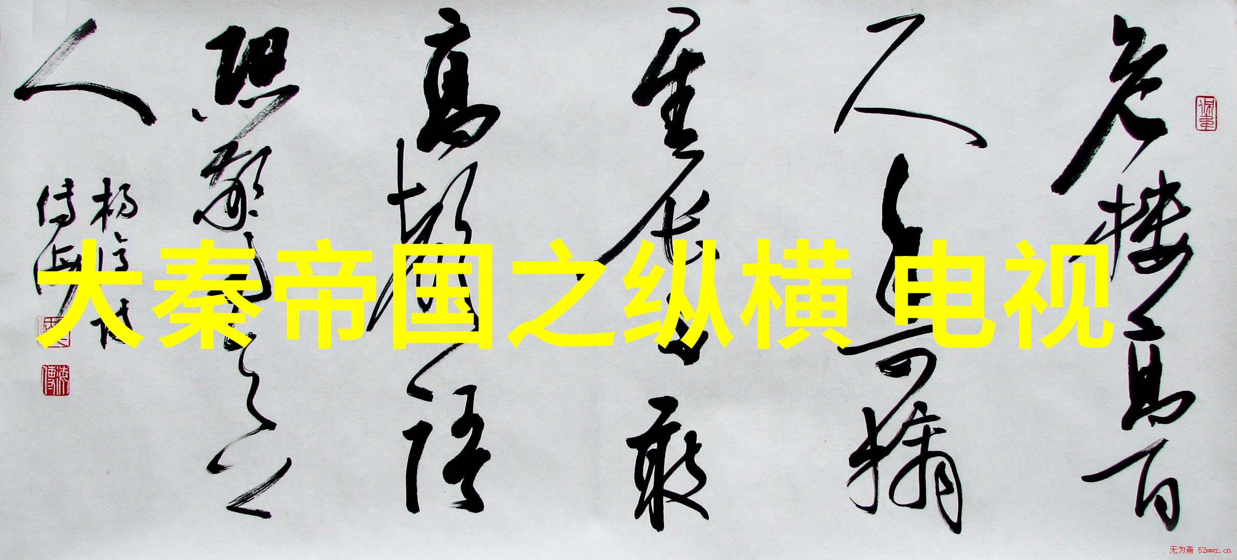 豪门宠儿背后的流浪子