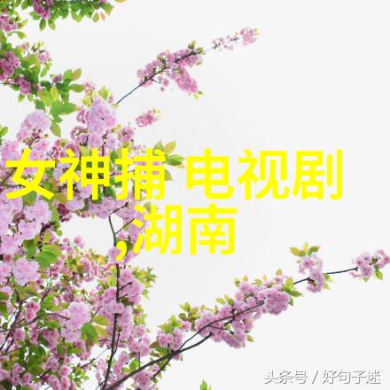 美俄中今天的头条新闻未来偶像聚集之地阳光少年模特风采秀在这里绽放T台新时尚再次创造传奇