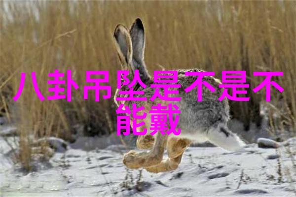 夜色中隐现的翅影探寻明月藏鹭的诗意世界