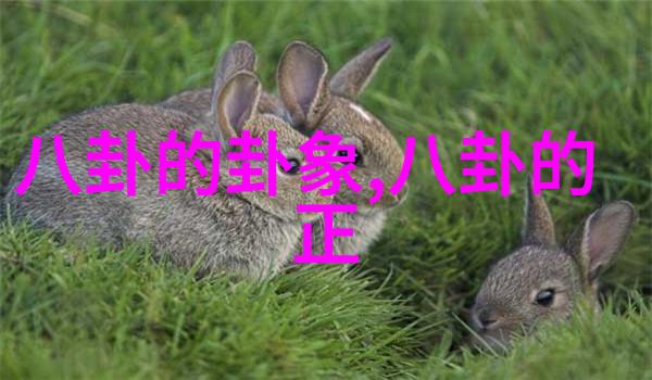 香港电视剧中的璀璨星光TVB当家花旦的辉煌时刻