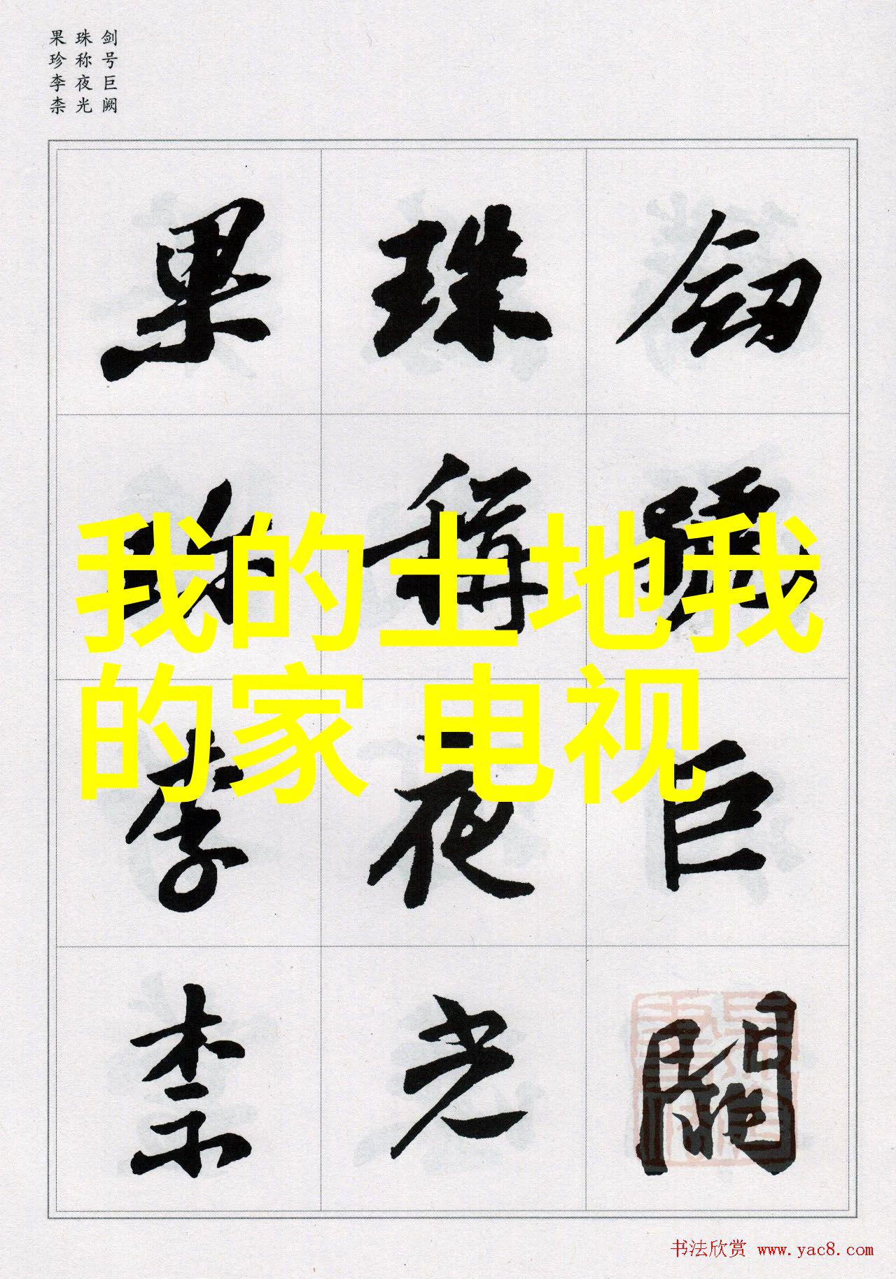 明星写真 - 闪耀时刻捕捉名人魅力的摄影艺术