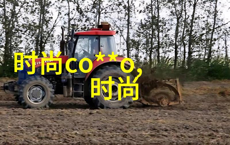 春日暖阳下的花市盛开4月17日的欢乐体验