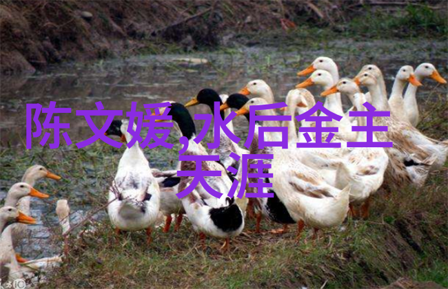 电影内射视频免费观看我的心跳加速的秘密之旅