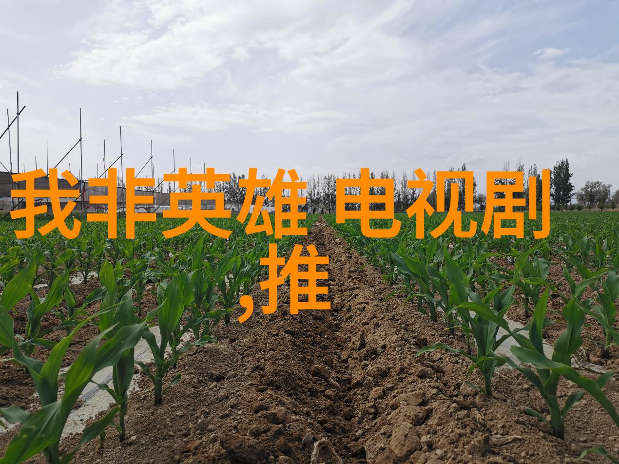 大胆艺术写真时尚摄影创意风格自由表现