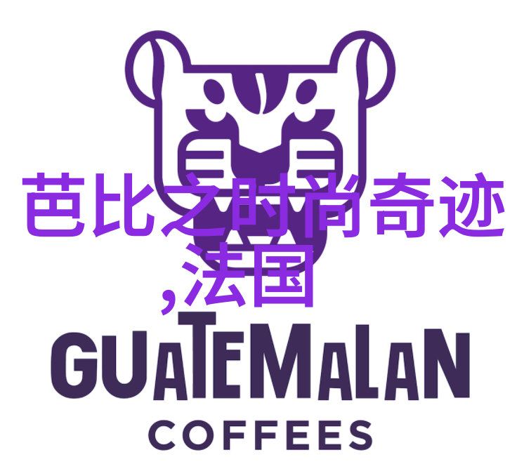 极限挑战综艺探索人类极限的刺激冒险