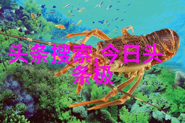 2022年回顾瞬间与记忆的编织