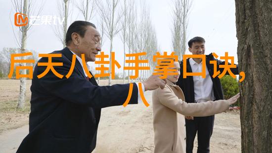 揭秘家宅八卦风水掌握方位图解引领居家幸福与繁荣