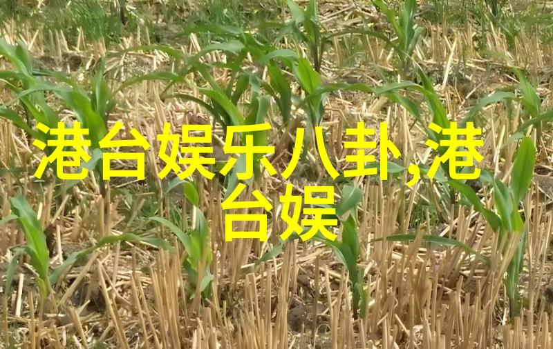 在VR环境中使用高质量背景图片的大图展示效果