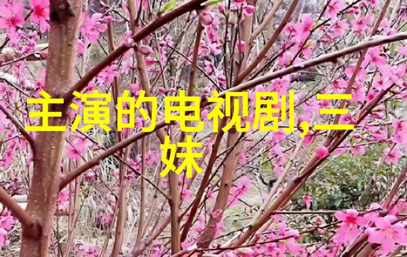 都挺好杨祐宁如同一颗璀璨的星辰吸引着155颗粉丝的心灵他即将在三部新剧中闪耀让观众们用自己的目光去感