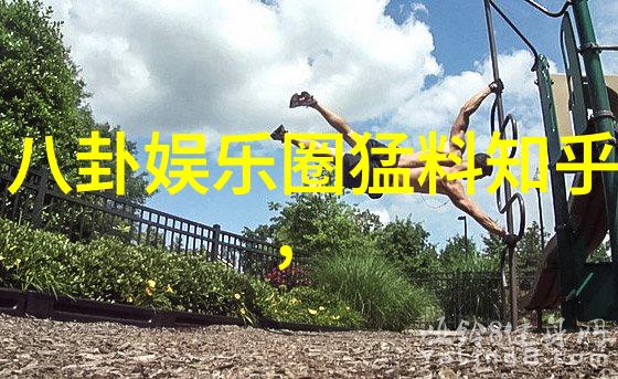 星象秘术解锁八卦的奥秘