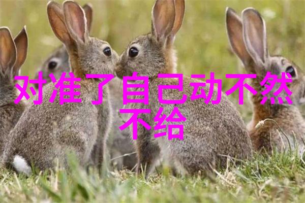 秋霞电影电视剧余生两部古偶神作长尾效应如同永恒的荣耀令人铭记