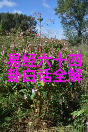 淡淡的忧伤唯美图片心灵深处的轻柔哀愁