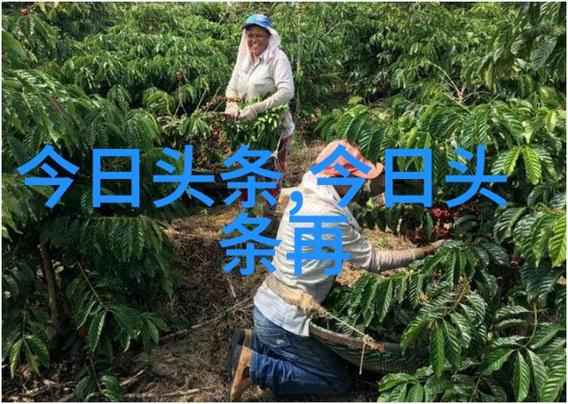 后天八卦与五行释永信老婆是释延洁吗他开光的女明星有杨澜吗