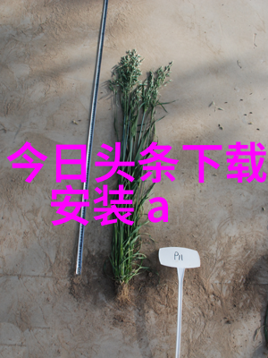 军事新闻最新-全球战略格局重塑新一代核潜艇的兴起与安全挑战
