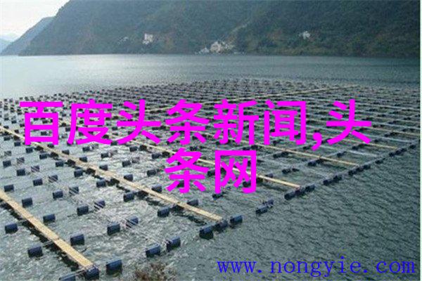 娱乐至死沉迷于无尽的乐趣与欢乐