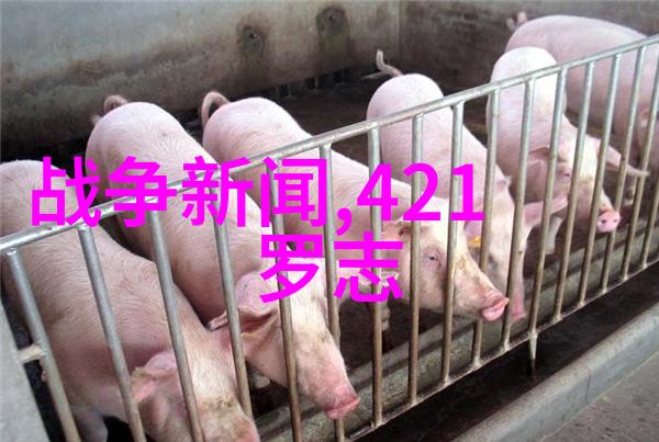 头条极速版解读新闻周期与信息传播速度的新趋势