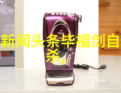 岛国的自主台湾的未来探索