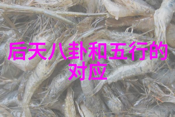 在侯勇主演的电视剧中记忆之声 幻 苏运莹北京首唱会是不是营造了一个别样的音乐世界