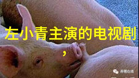 世界奇闻怪事诡异的失落城市与时间之门