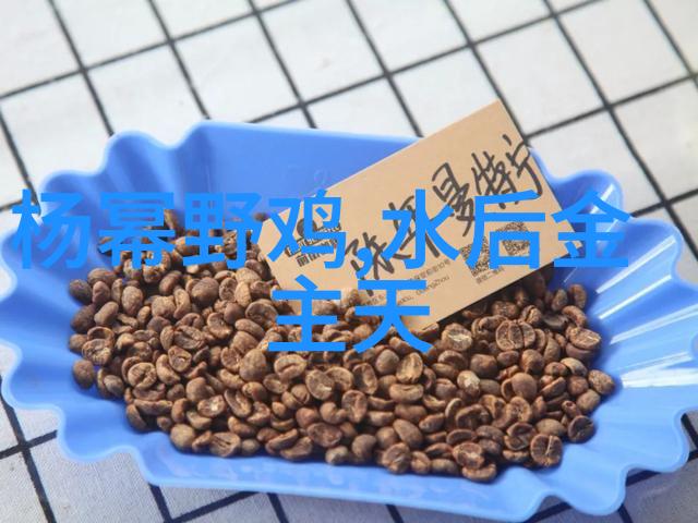 魔力纬度时尚女巫的秘密