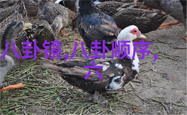 背诵八卦口诀的技巧与方法