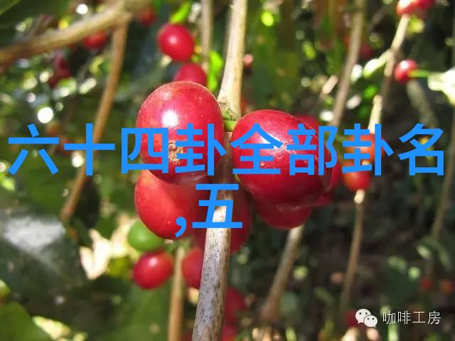 台湾中文娱乐网 - 风华正茂台湾中文娱乐网的盛世佳话