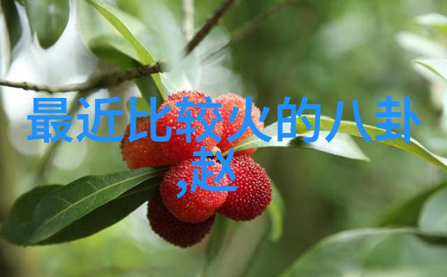 奥本海默的蜘蛛侠庆生周活动完毕全球粉丝期待2021年新版蜘蛛侠电影
