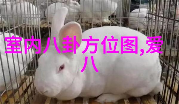 孙菲菲揭秘娱乐圈霸凌真相娱乐圈内幕