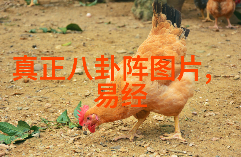 公交车上的高温困境杨震的生存之战