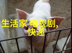 超越语言的沟通国际影片中的人物塑造艺术