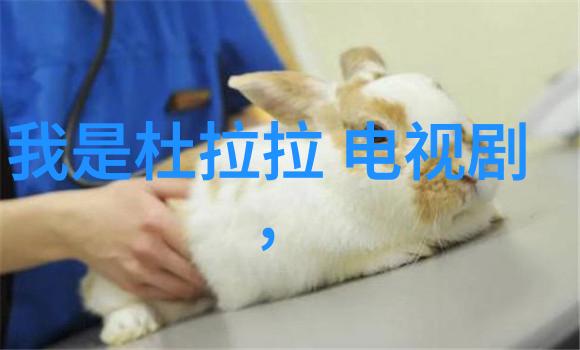 什么叫写真我是如何拍出一张真实感十足的照片的