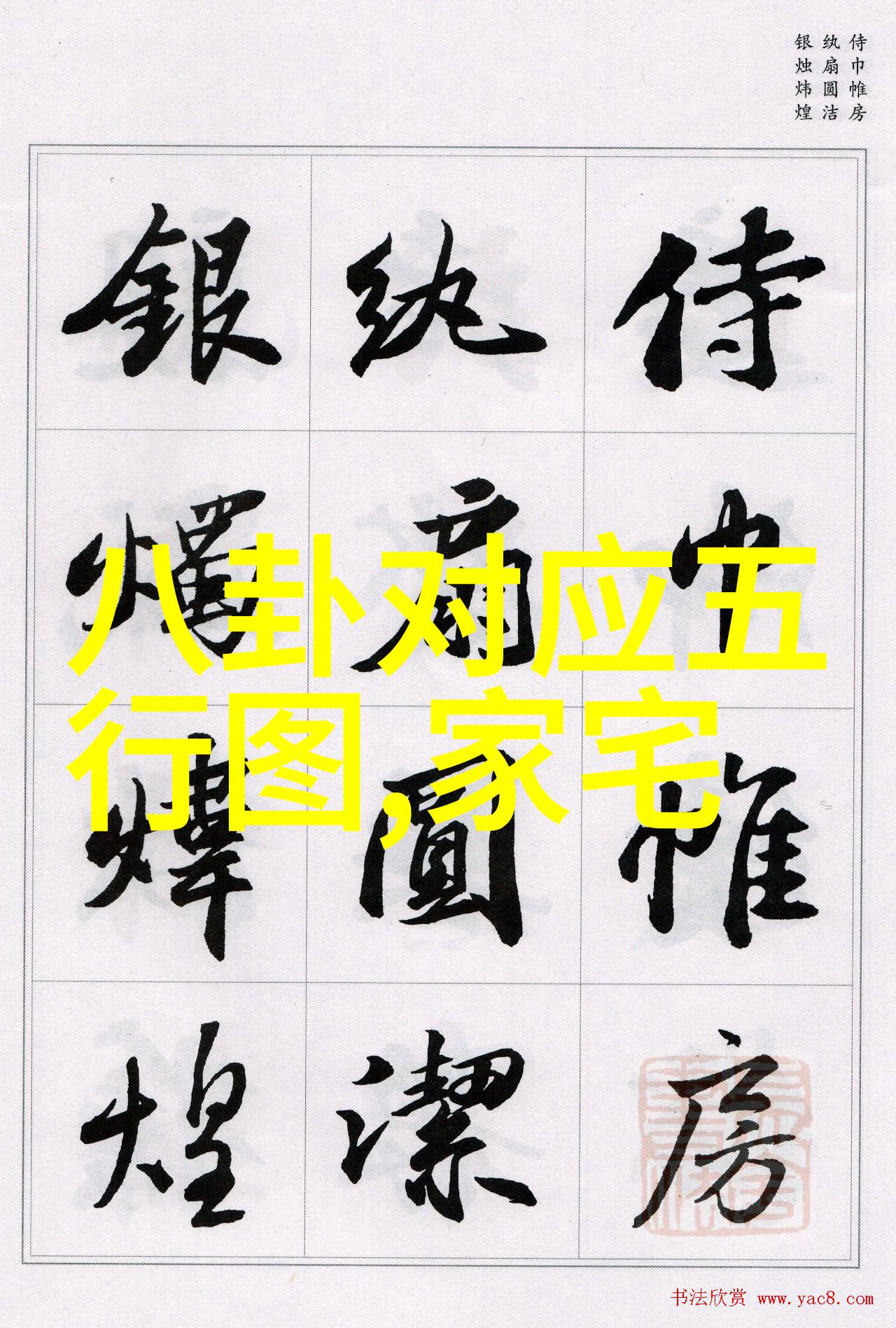 写真写真写真-镜头不停追逐瞬间的完美摄影艺术