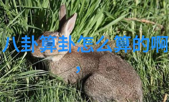 易经秘解天地变幻中的命运之轮