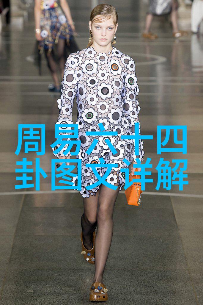 解读先天八卦之美图解其深远文化意义
