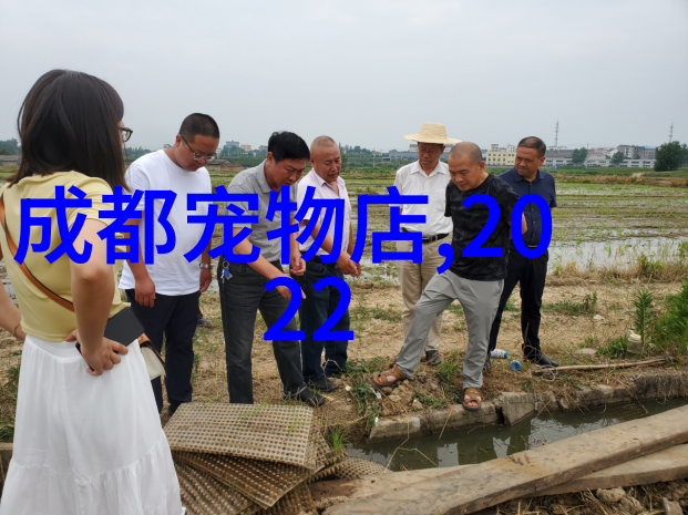 我们共同聆听的旋律通过最近一百首热门歌曲追溯我们生活中的变化