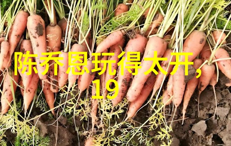 夜幕下的直播秀探索适合深夜观看的精彩内容