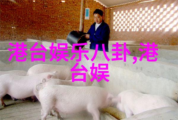 星光下的秘密解读赵丽颖与冯绍峰离婚的五大关键点