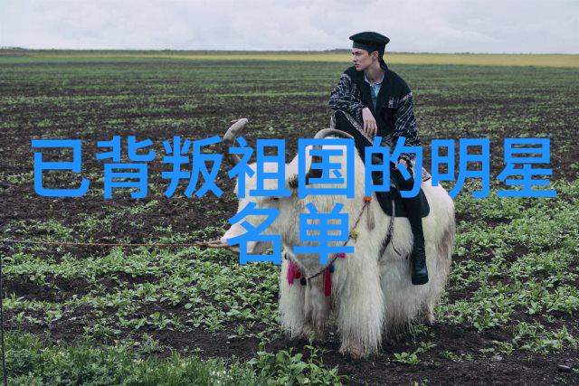 星辰下的宠儿探秘星恋宠姬的神秘世界