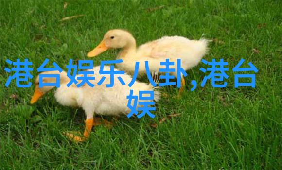 155一段旅程的秘密代码