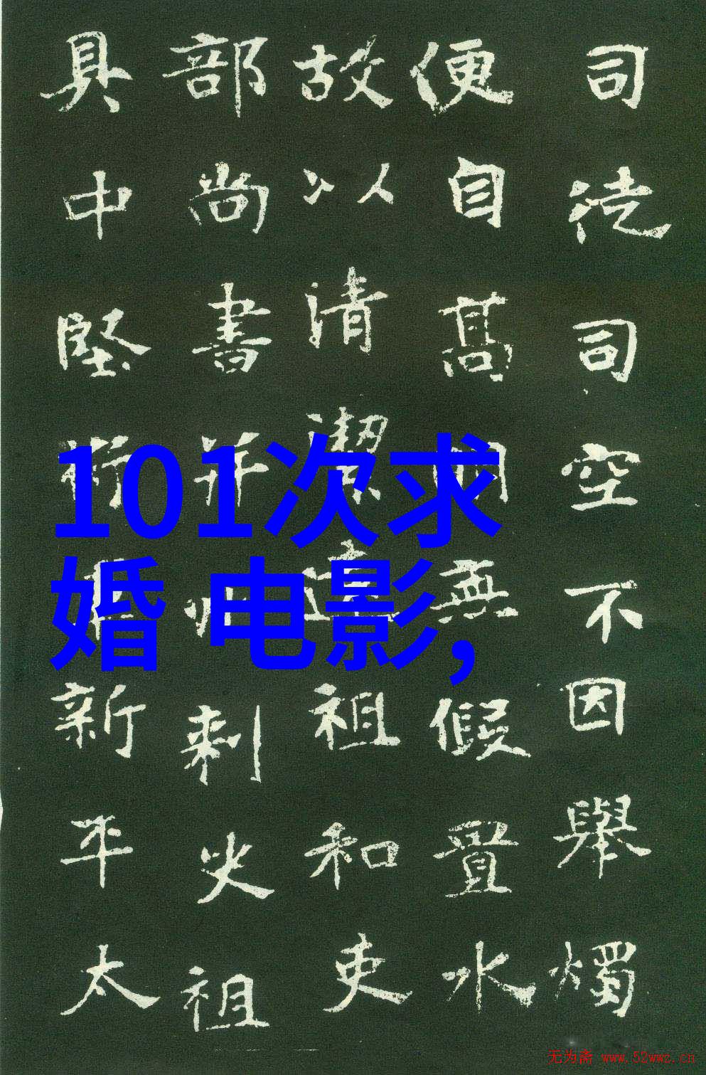 王洋的故事我是王洋从小伙计到大侠
