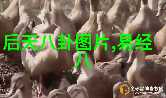 在现实主义和虚构之间游走探讨那些跨越时空而不倒的大作