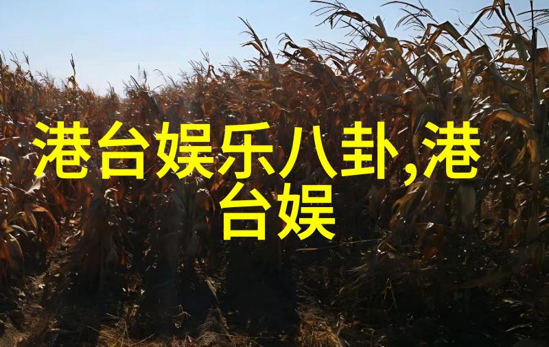 网红湾湾微博揭秘王又又的时尚帝国淘宝店服装品牌大公开