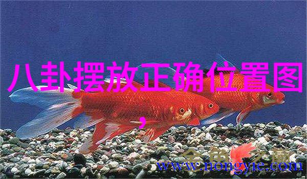 银幕与梦想电影院在当代社会文化中的角色探究