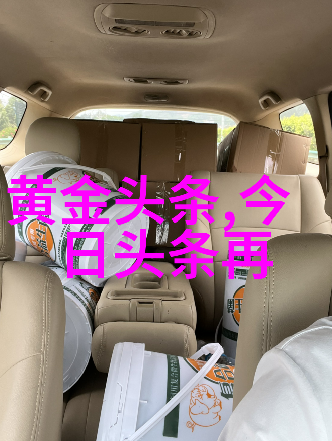 宋智雅恋爱综艺剖析娱乐节目中的情感表达与社会影响