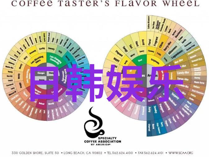 Tara素妍戴隐形眼镜前后对比照公开 似乎变了一个人