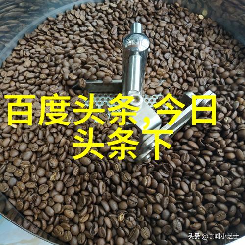 艺术写真中的女性全貌探索一颗心与森林的共鸣
