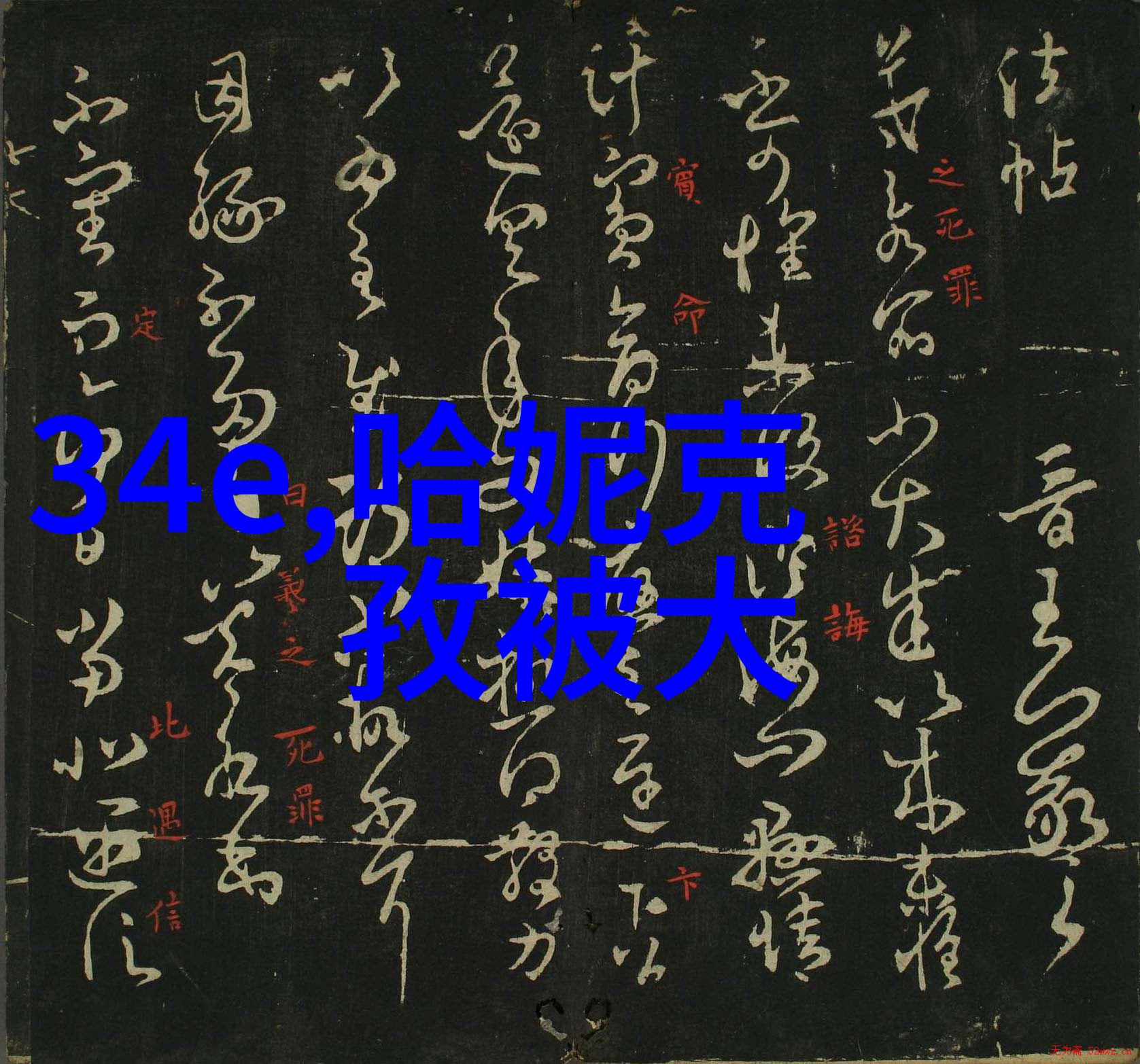 金子涵是美国国籍混血儿吗八卦图罗盘全图揭秘她个人资料简介