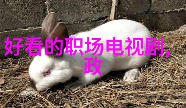 磐石坚固的电影传奇探索那些永恒的银幕故事
